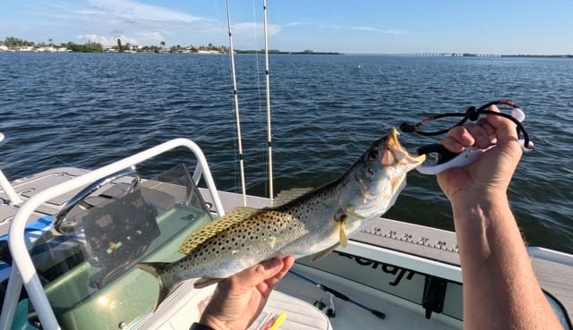 TWJ Anna Maria thumbnail