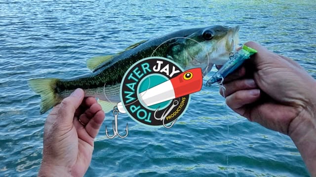 TWJ WP 6 21 24 thumbnail